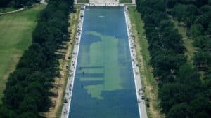 lincoln memorial reflecting pool