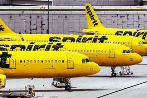 Several bright yellow Spirit Airlines planes parked on a tarmac, lined up side by side at the airport.