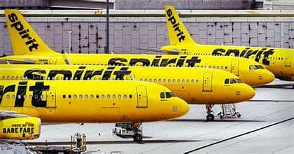 Several bright yellow Spirit Airlines planes parked on a tarmac, lined up side by side at the airport.