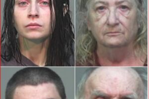Quadruple mugshots: a young woman with red, bruised eyes; an older woman with facial swelling; a young man; and an older man with a swollen, bruised face.