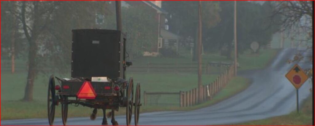 Horse-drawn carriage traveling away on a wet rural road, red reflective triangle on the back for safety.