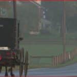 Horse-drawn carriage traveling away on a wet rural road, red reflective triangle on the back for safety.