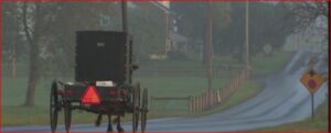 Horse-drawn carriage traveling away on a wet rural road, red reflective triangle on the back for safety.