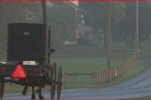 Horse-drawn carriage traveling away on a wet rural road, red reflective triangle on the back for safety.