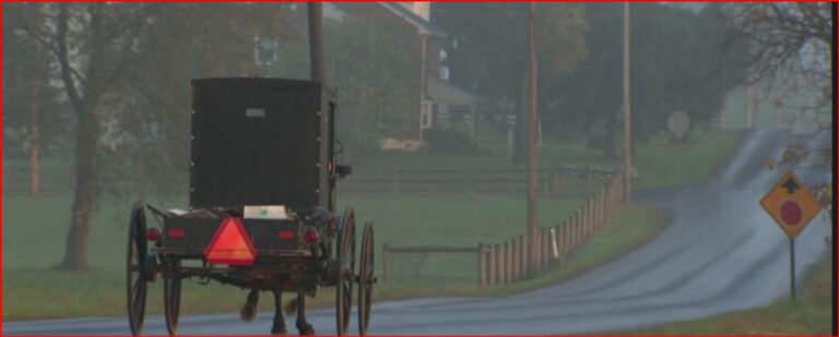 Horse-drawn carriage traveling away on a wet rural road, red reflective triangle on the back for safety.