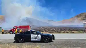 Elephant Fire Sierra County