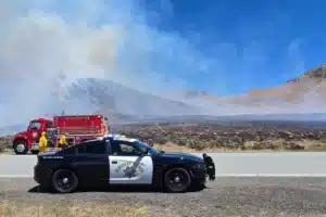 Elephant Fire Sierra County