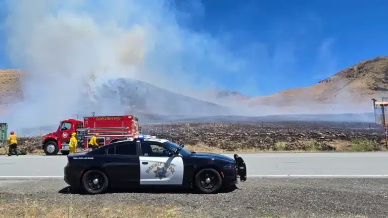 Elephant Fire Sierra County