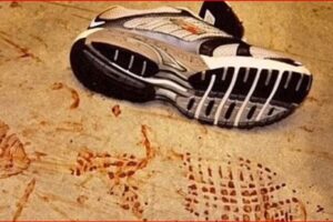 Running shoe on a dusty beige surface with red footprints nearby, suggesting bloodstains.