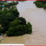 Drone view of a residential neighborhood flooded, with brown water covering streets, yards, and driveways around trees and houses partially submerged.