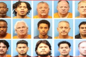 Collage of mugshots: 15 inmates in orange jumpsuits arranged in a grid on a blue background, a booking-photo style collage.