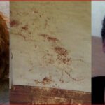 Three-panel image: on the left a woman with a serious expression, in the center a wall with reddish handprints and smears, on the right a smiling woman.