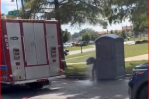 Fire truck parked on a street beside a grey portable toilet; a person is bending near it.