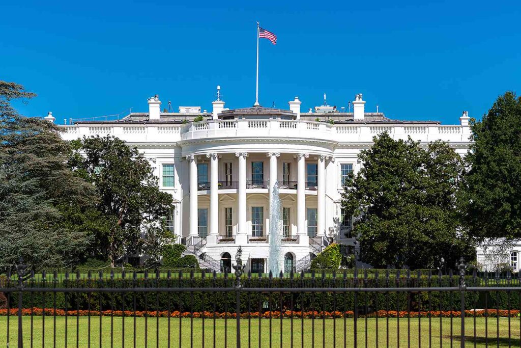 wiles patel phone turnovers whitehouse