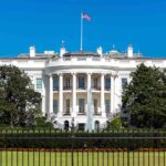 wiles patel phone turnovers whitehouse