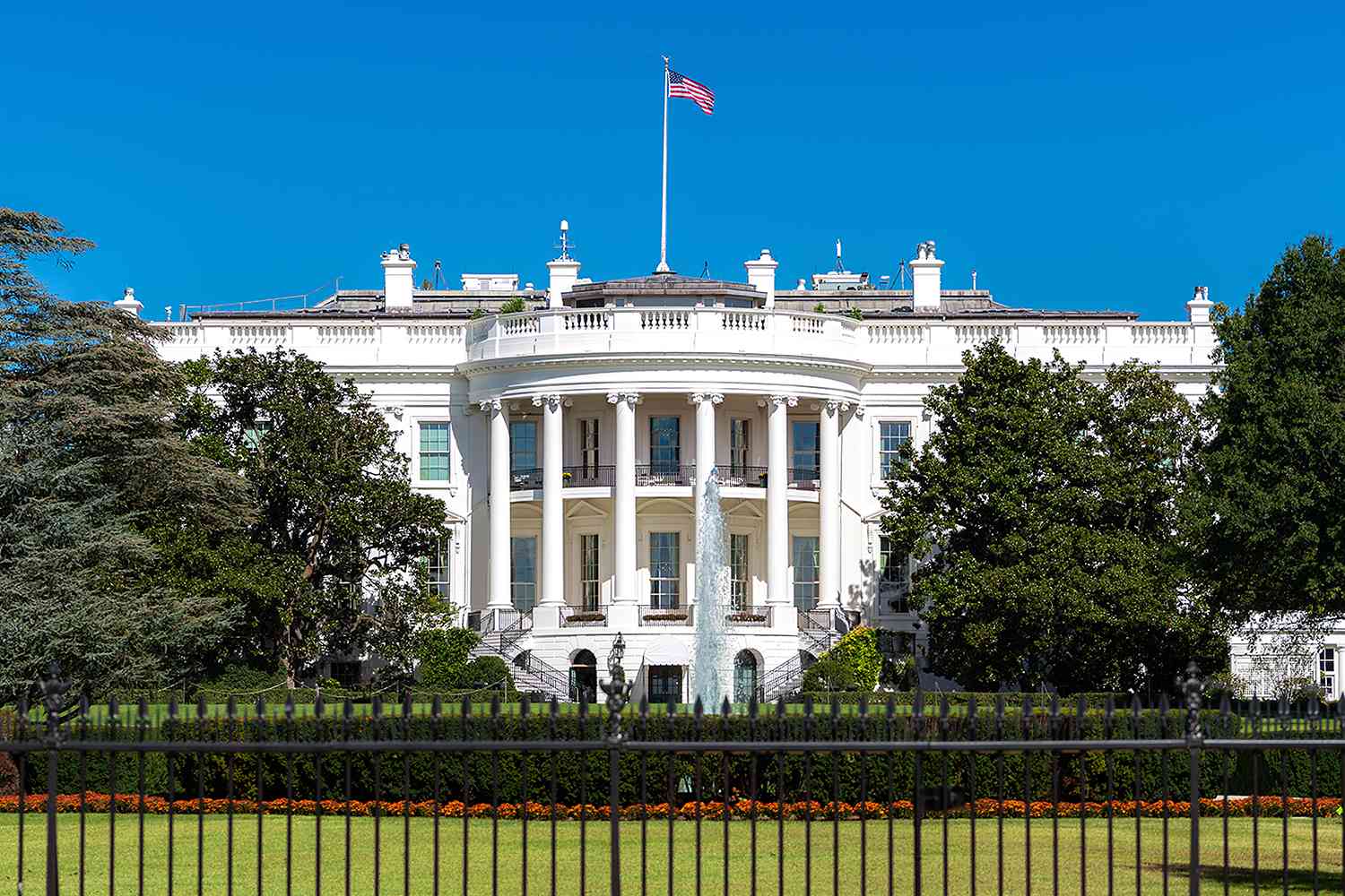 wiles patel phone turnovers whitehouse