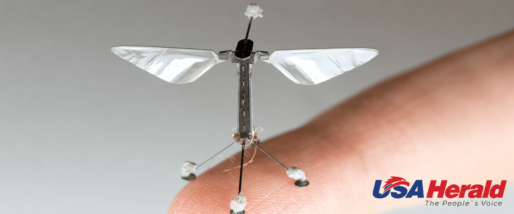 Close-up of a tiny winged micro-drone balanced on a fingertip, with silver foil wings.