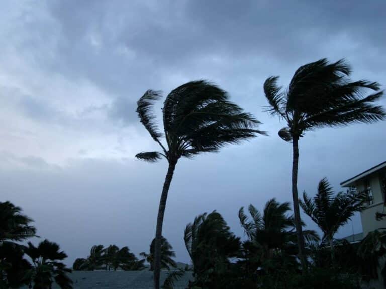 Tropical Storm Lala in Hawaii