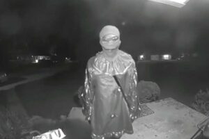 clown Illinois murder