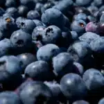 publix blueberry recall