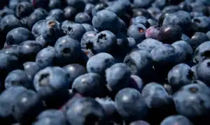 publix blueberry recall