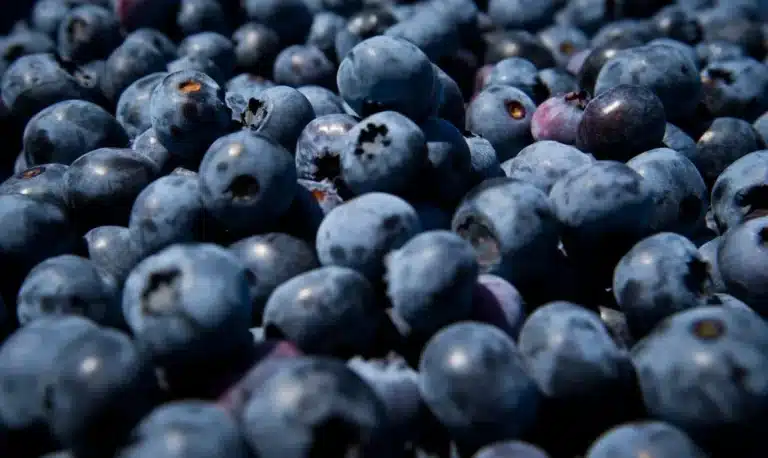 publix blueberry recall