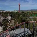 six flags roller coaster brain injury