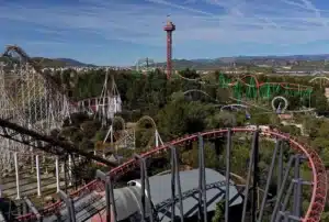 six flags roller coaster brain injury