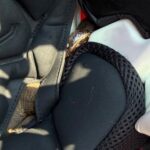 snake in football helmet