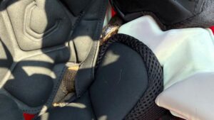 snake in football helmet