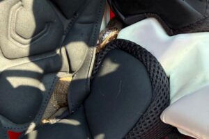 snake in football helmet