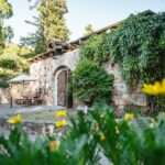 Gundlach Bundschu Winery files chapter 11