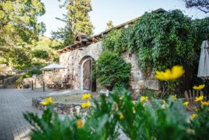 Gundlach Bundschu Winery files chapter 11