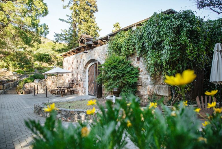 Gundlach Bundschu Winery files chapter 11