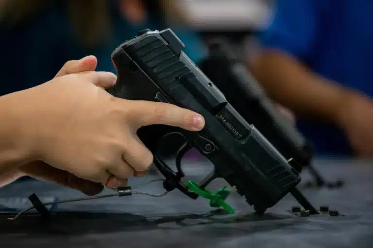 minnesota firearm permit lawsuit