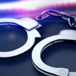 Spartanburg woman $8K insurance fraud
