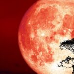 hunters moon thumbnail