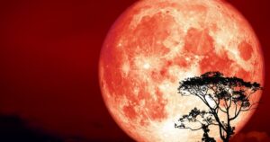hunters moon thumbnail