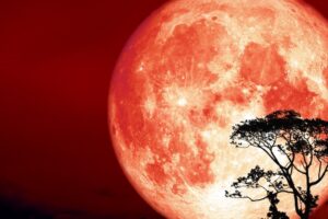 hunters moon thumbnail