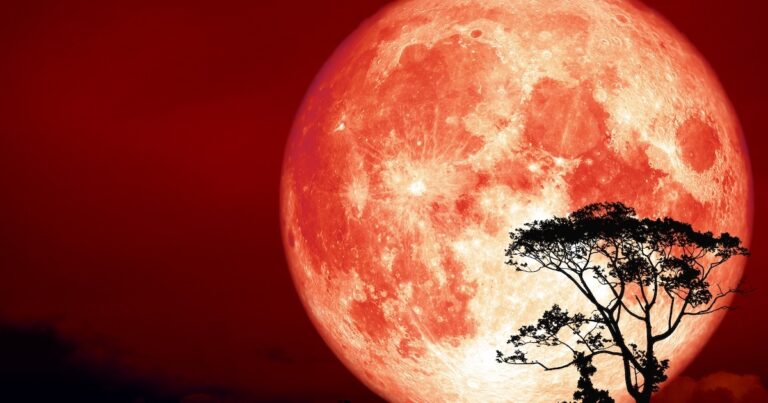 hunters moon thumbnail