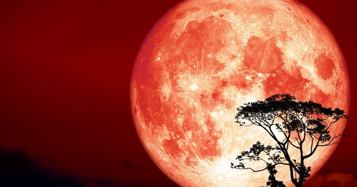hunters moon thumbnail
