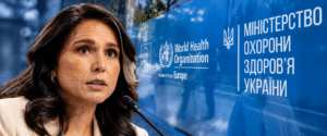 tulsi